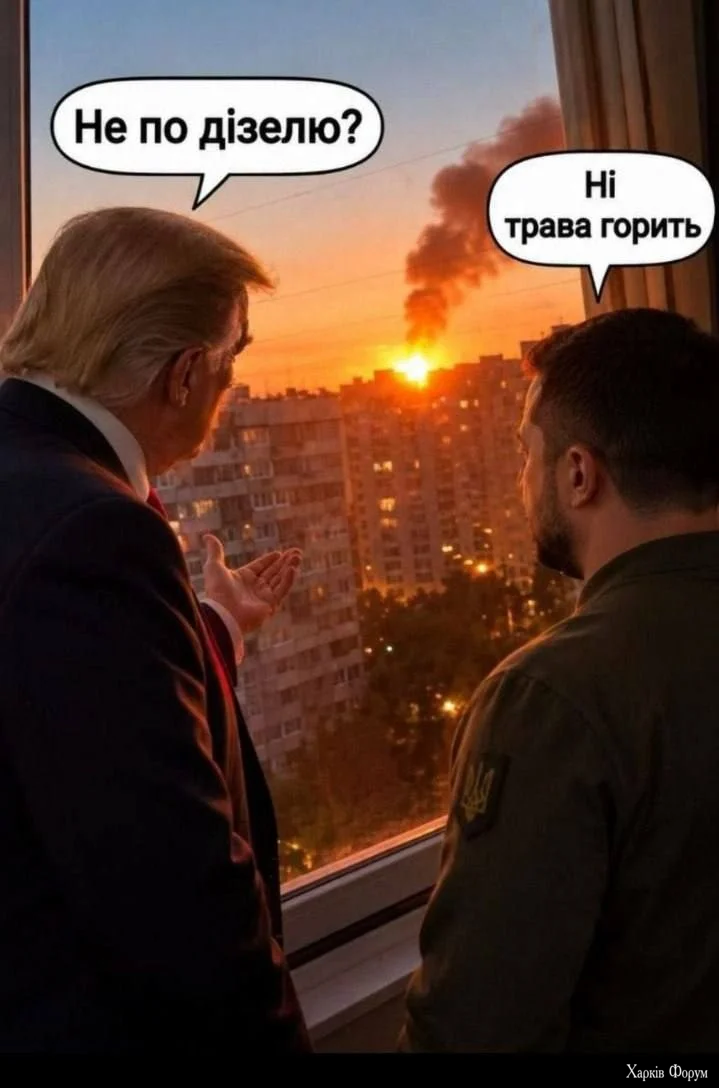 1789886999426.webp