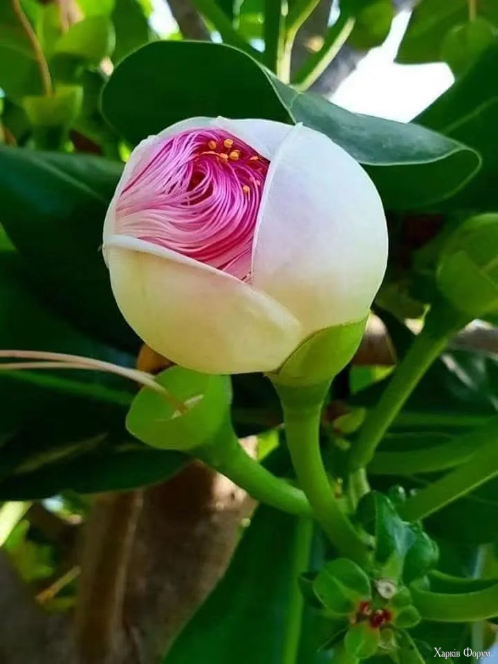 1789929008844.webp