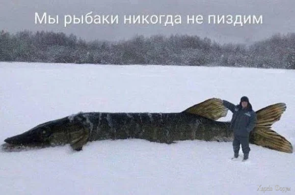 1789934464248.webp