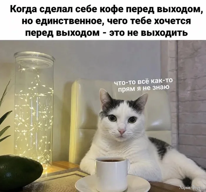 1789966925153.webp