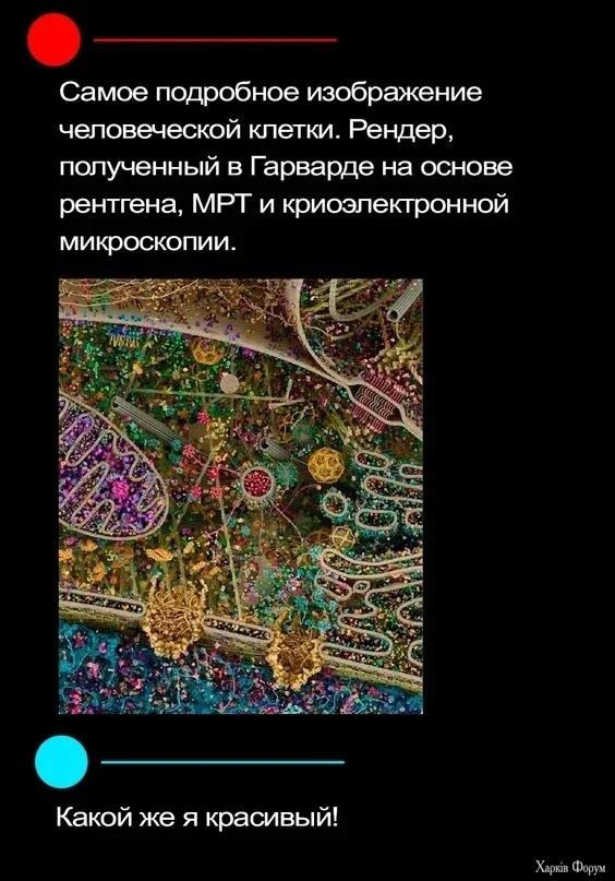 1790141241934.webp