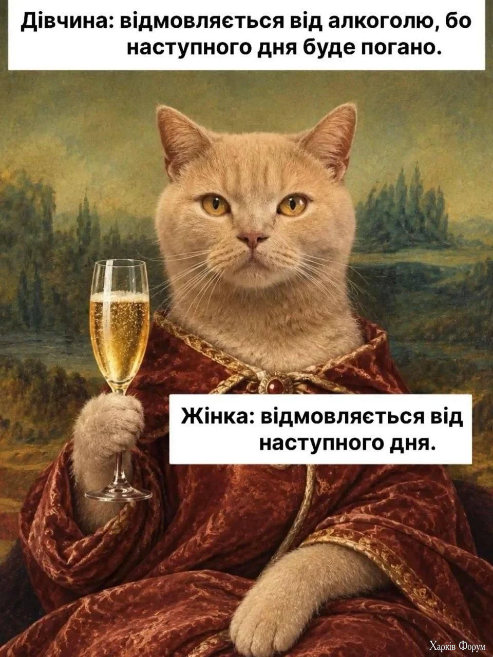 1790244755374.webp