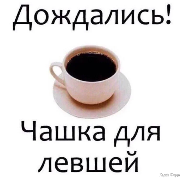 1790271585888.webp