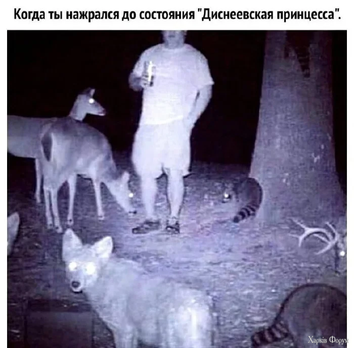 1790271992703.webp