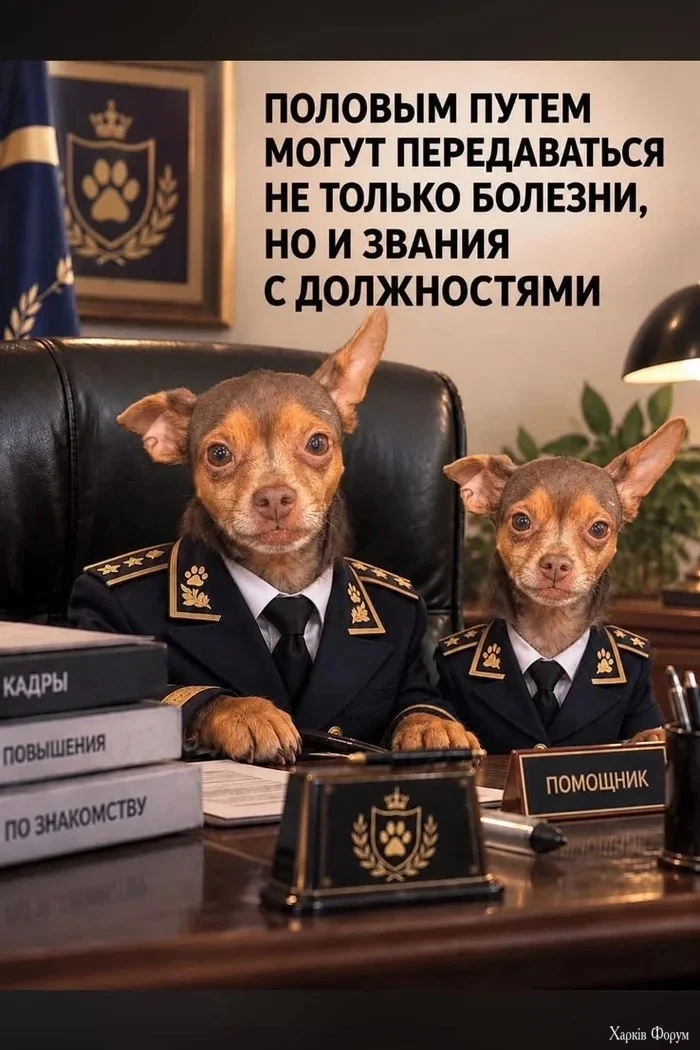 1790402814465.webp
