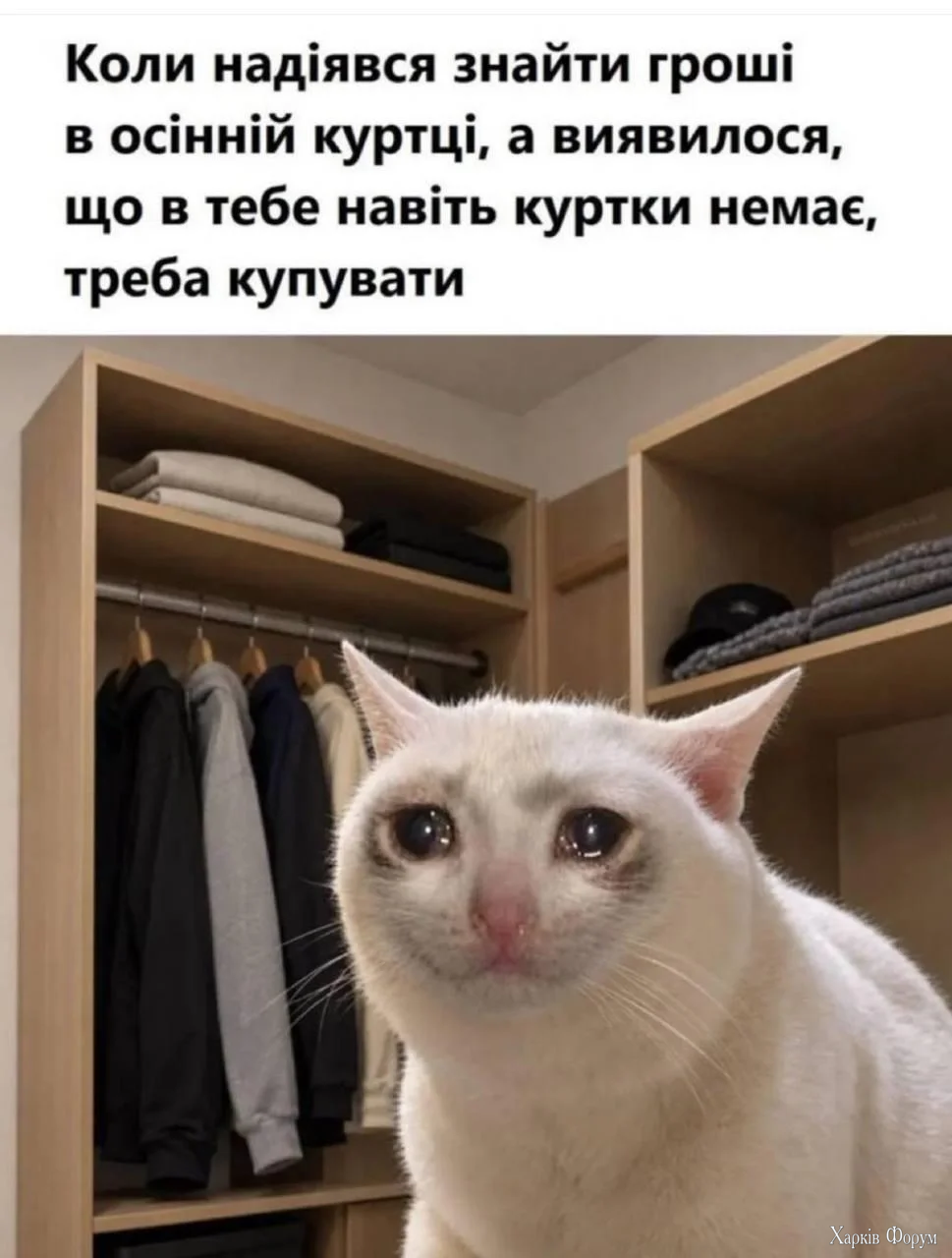 1790491196996.webp