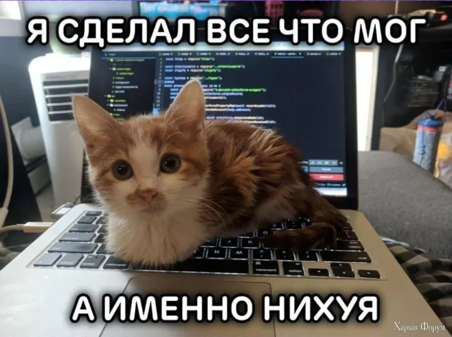 1790581314848.webp