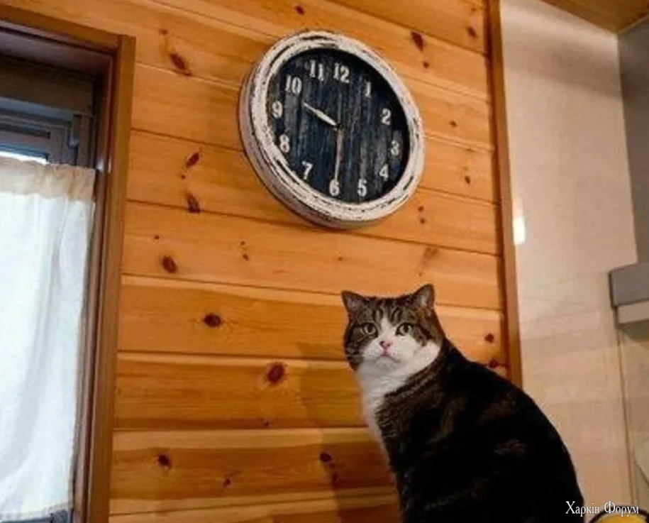 котє