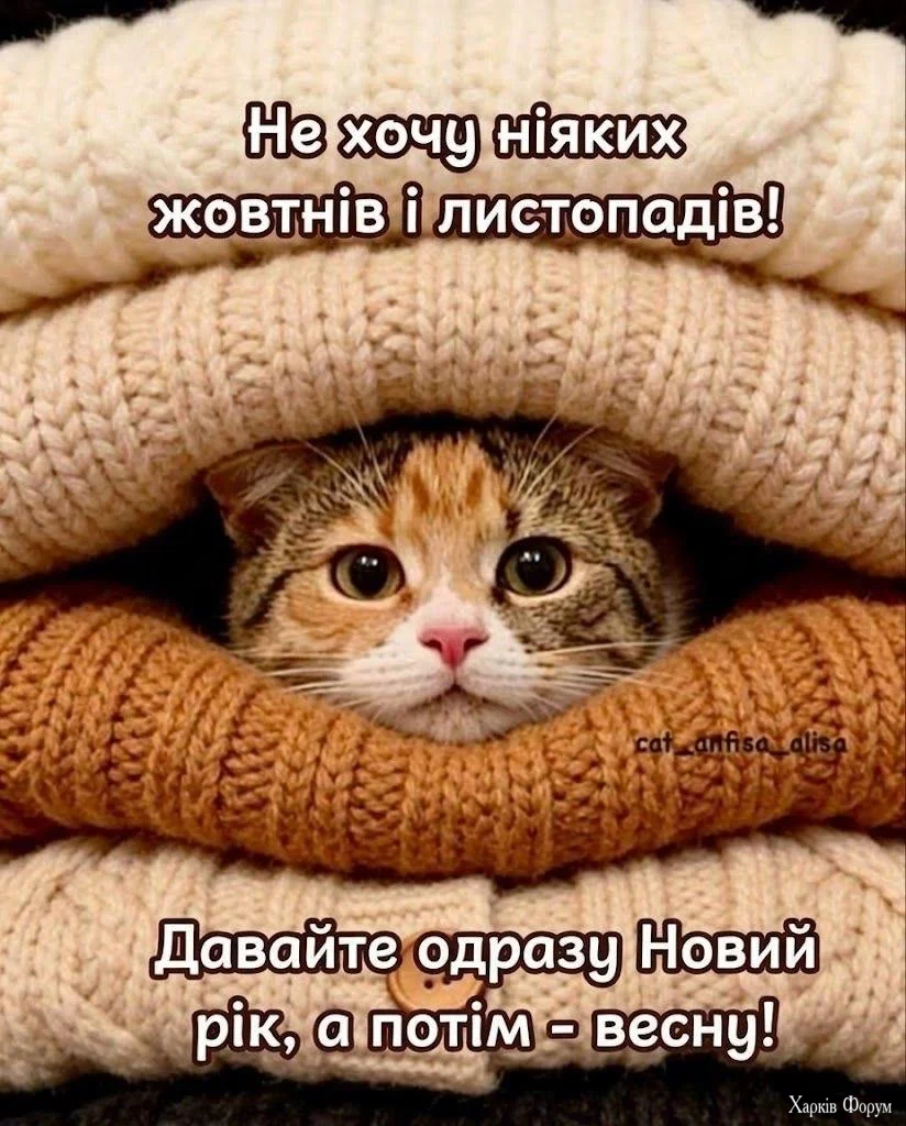 1791010716131.webp