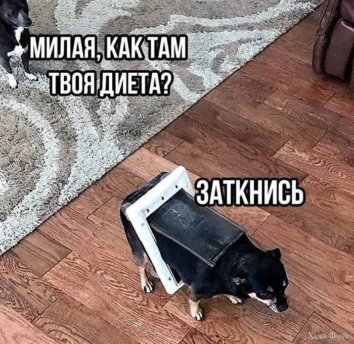 1791027266306.webp