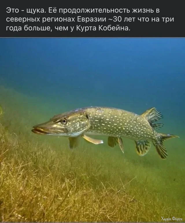 1791054116502.webp