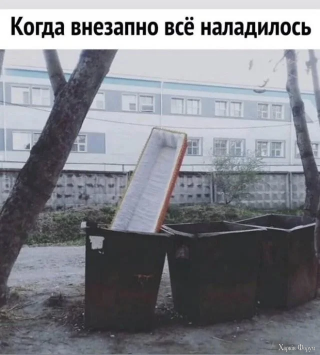 1791054161912.webp
