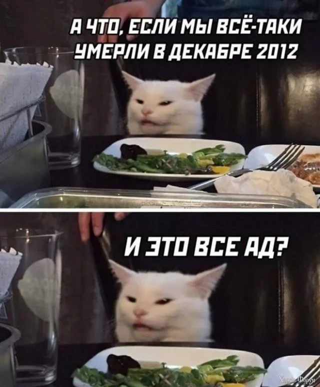 1791054609405.webp