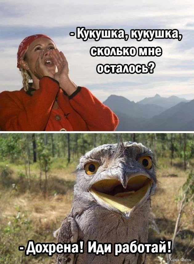 1791056171875.webp