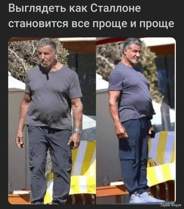 1791056293330.webp