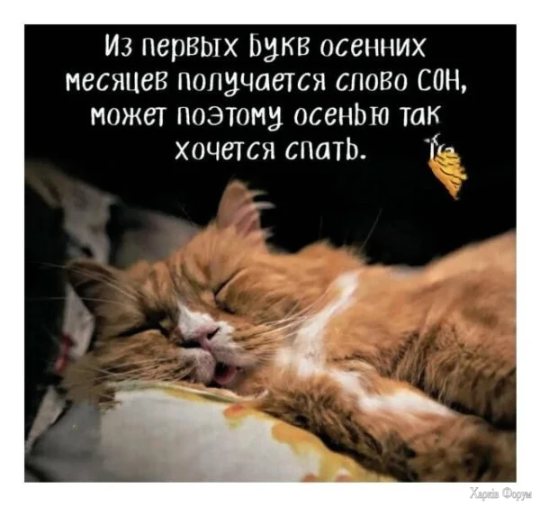 1791058528596.webp