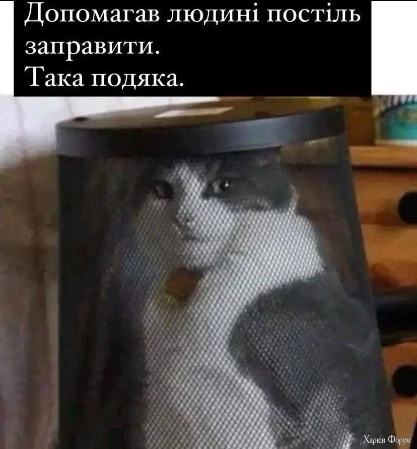 1791188401848.webp