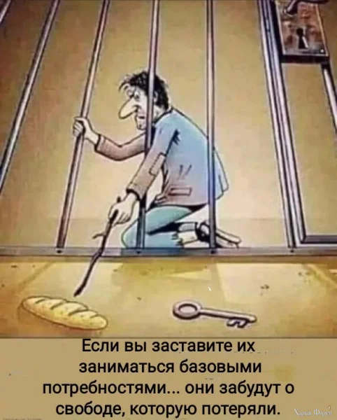 1791231228485.webp
