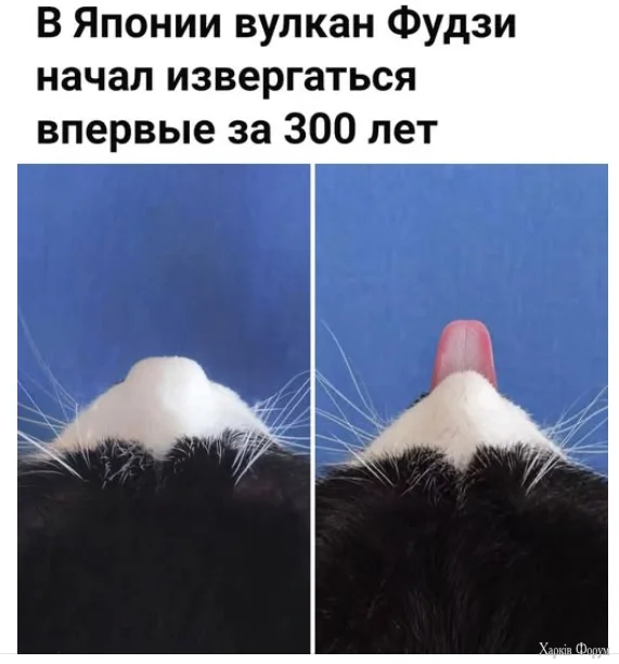 1791289142203.webp