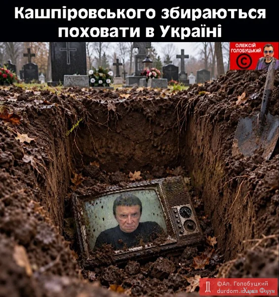 1791493828498.webp