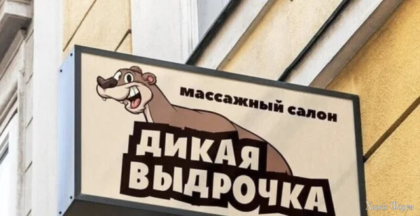 1791672676653.webp