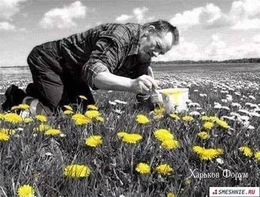 1791fa345609d38c0cbf0b9.webp