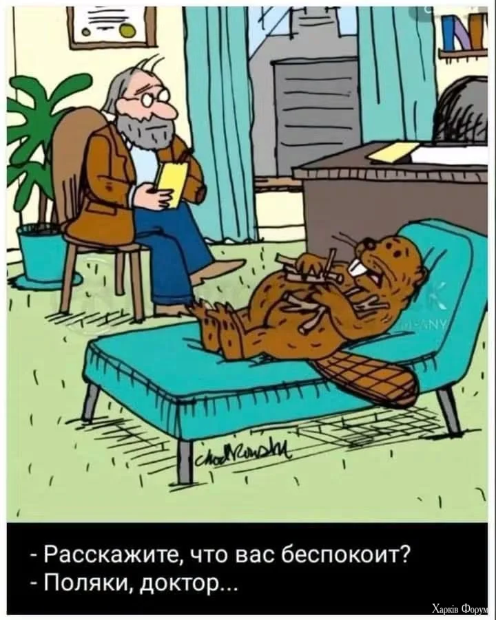 1792096627826.webp