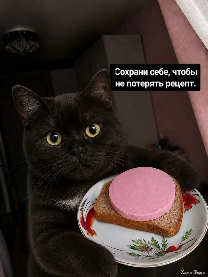 1792513121855.webp