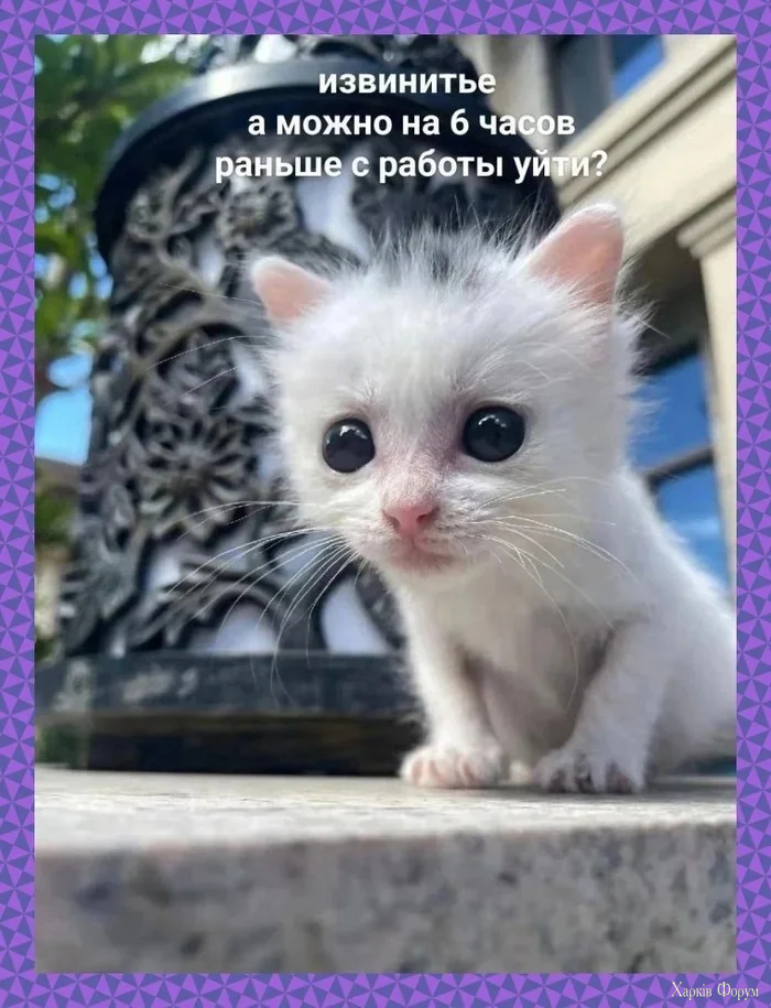 1792827047711.webp