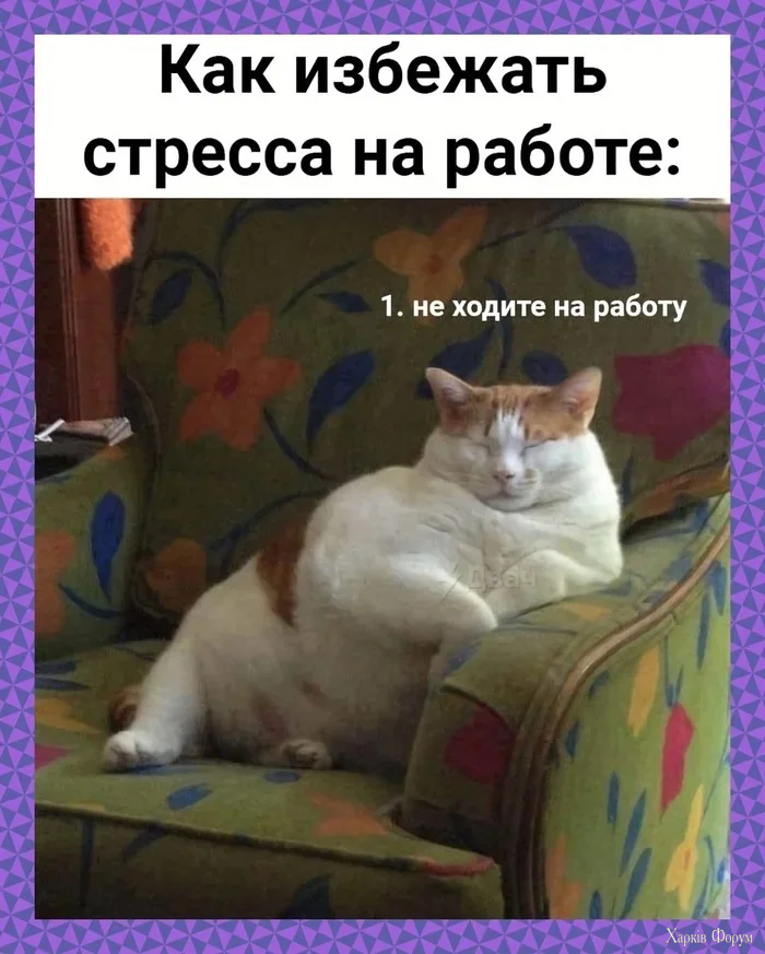 1792827360162.webp