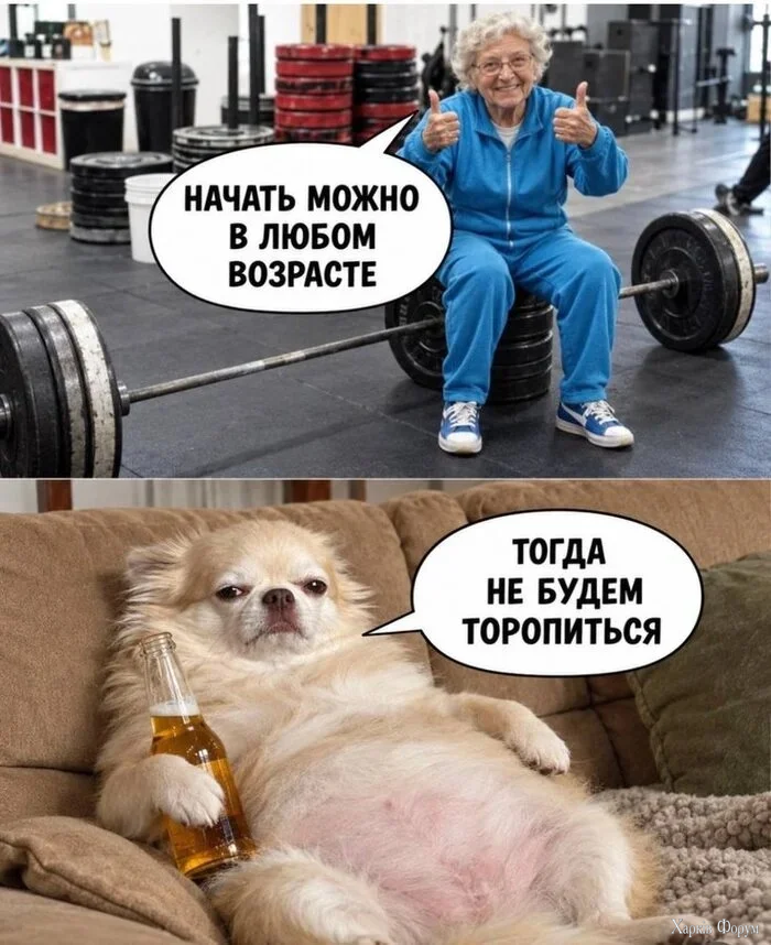 1792948080772.webp