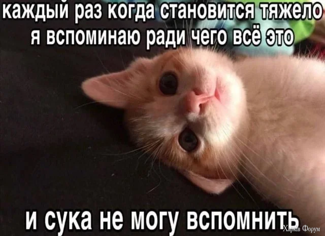 1793289307606.webp