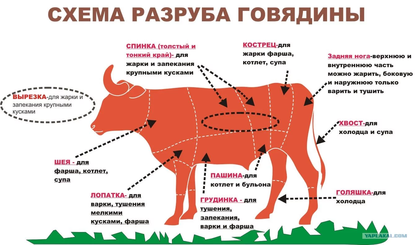 1794932.webp