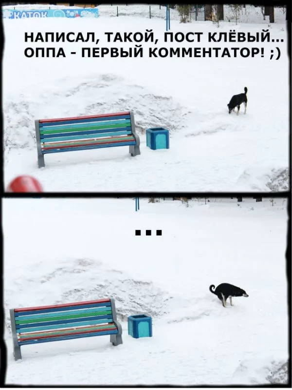 1795063.webp