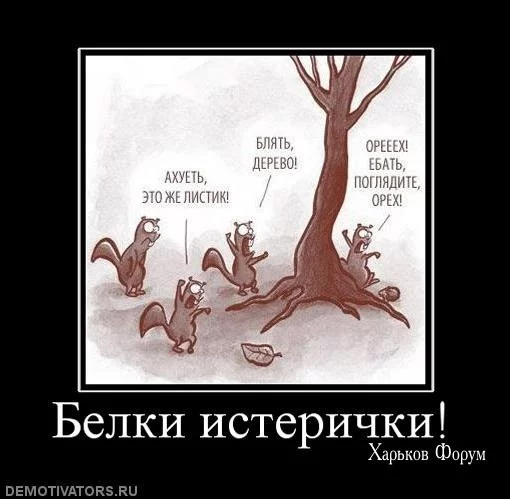 17be98b8a8013c53.webp