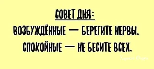 17c0c3da2ca4c079.webp