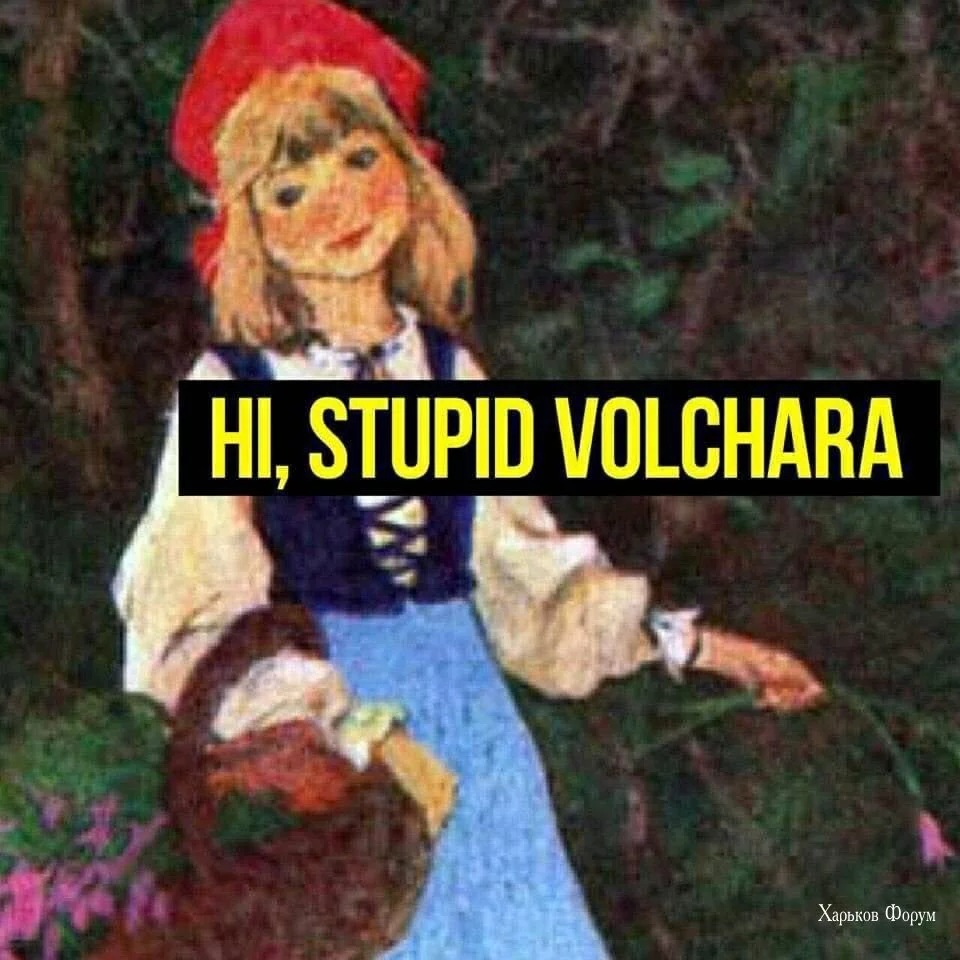 17ce911d47157a1434fe9ca.webp