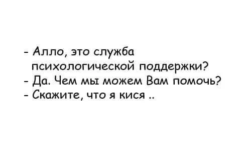 17d320c444a52ae0fd.webp