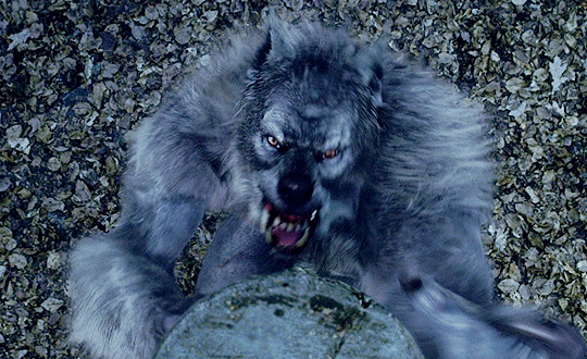 17e7236047b0563579a2.gif