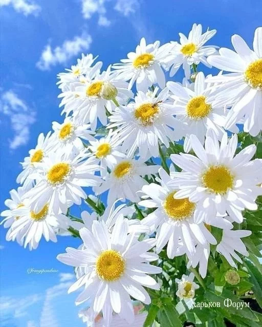 17e82cfa187e25c1675.webp