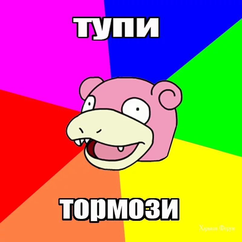 17fc6e04c9c04f4f.webp