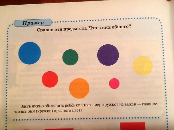 18.webp