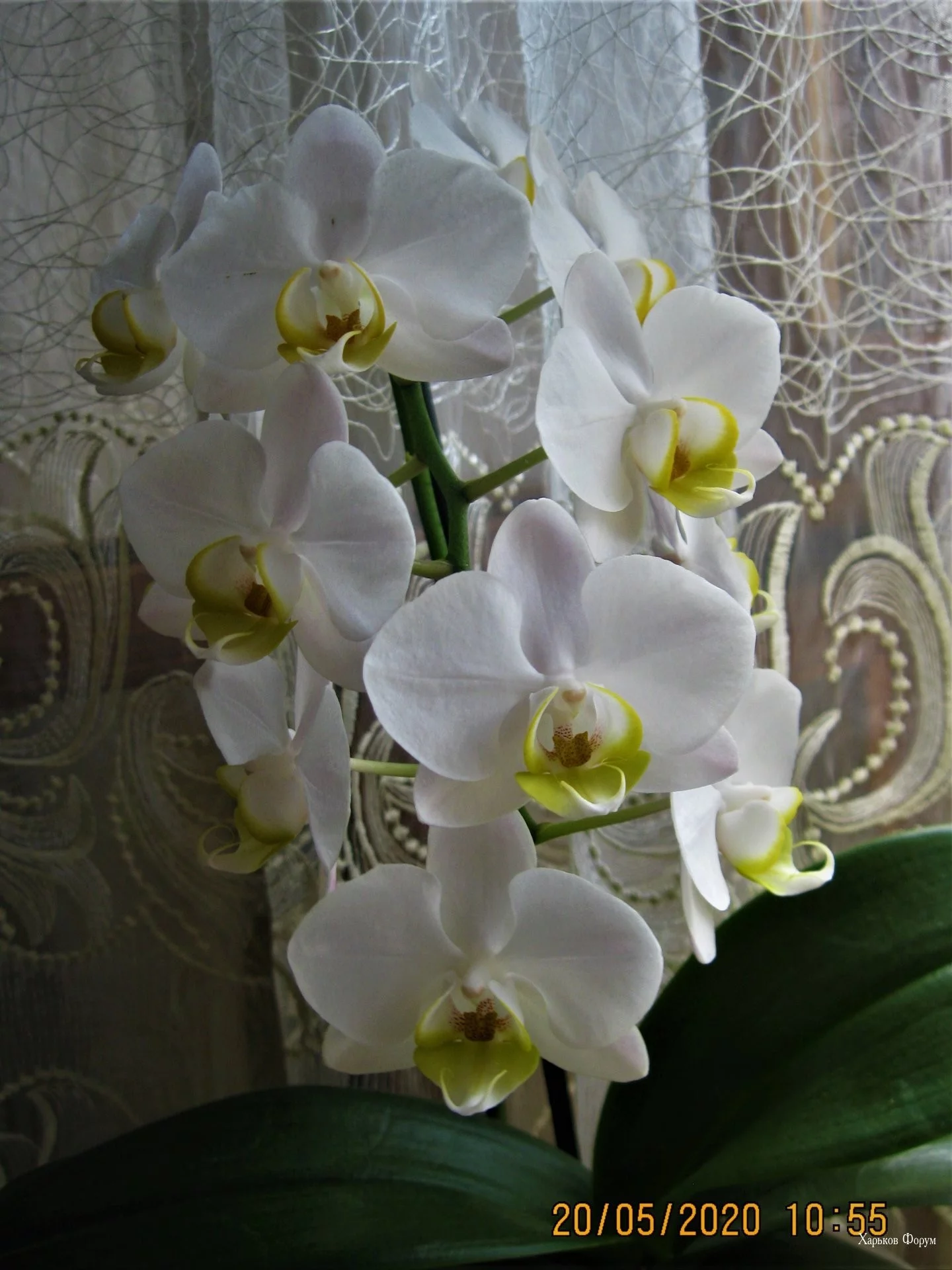 1800c6a6f996e940fbea52c4.webp