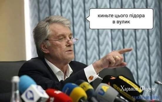 1810a50cd46a2928316cb.jpg