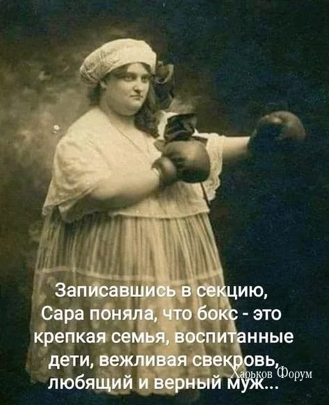 181466095be0377d34d512a8.webp