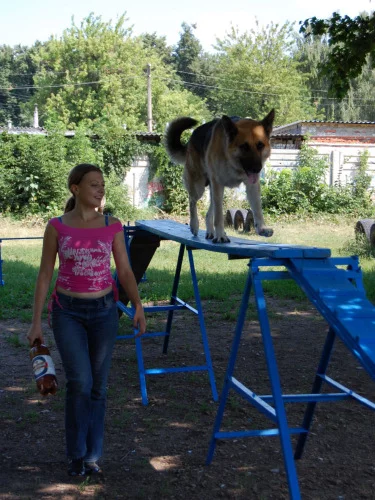 181649-43f72-21687512-m549x500.webp