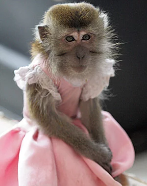 181893.webp