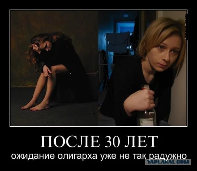 1819427.webp