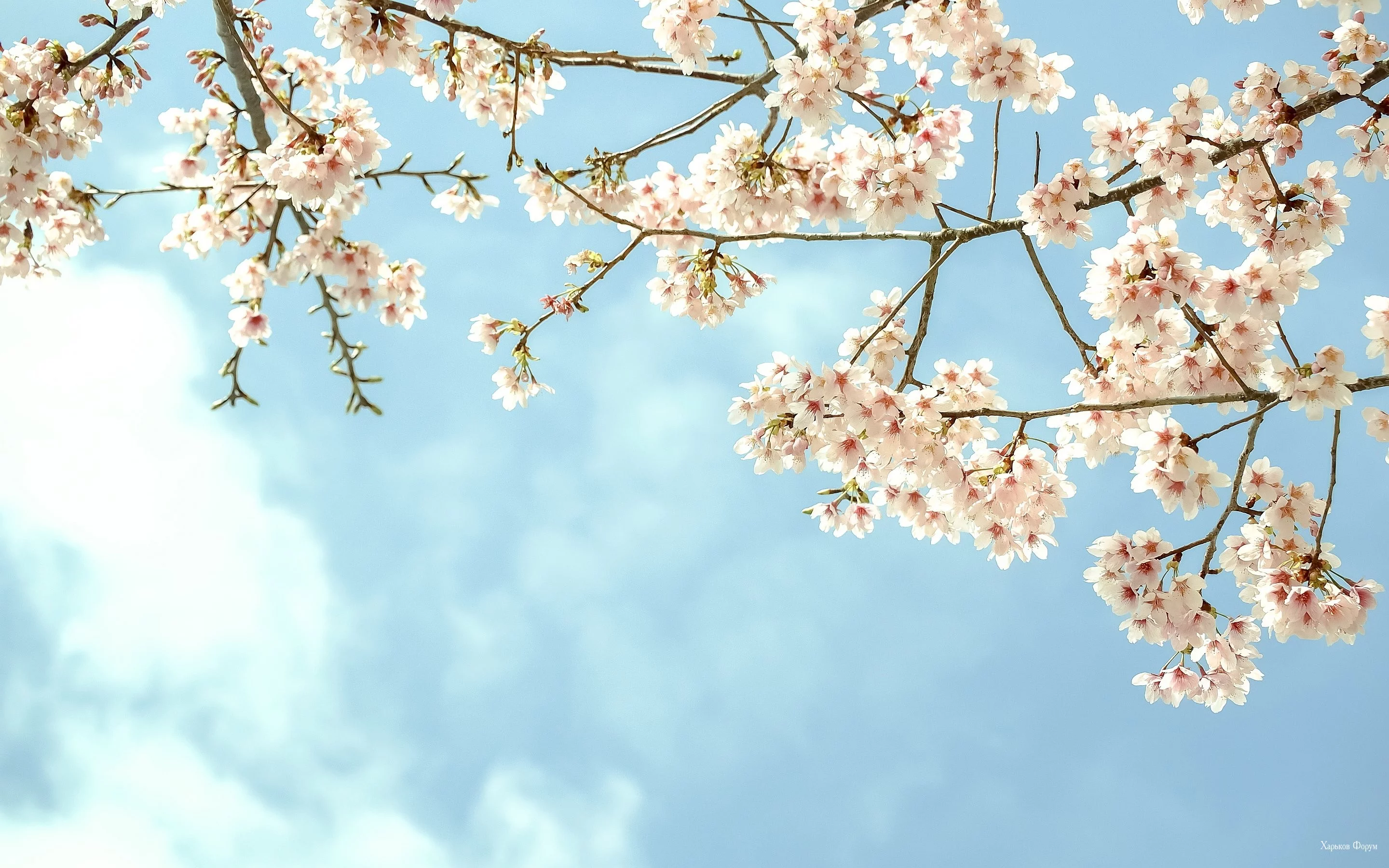 181da41b478fe7f638.webp