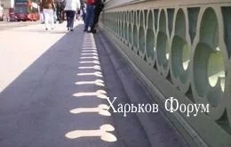 182083b803b681b8407.webp